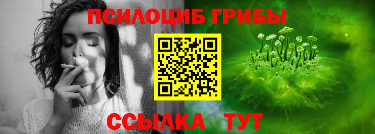 Псилоцибиновые грибы Cubensis Богородицк